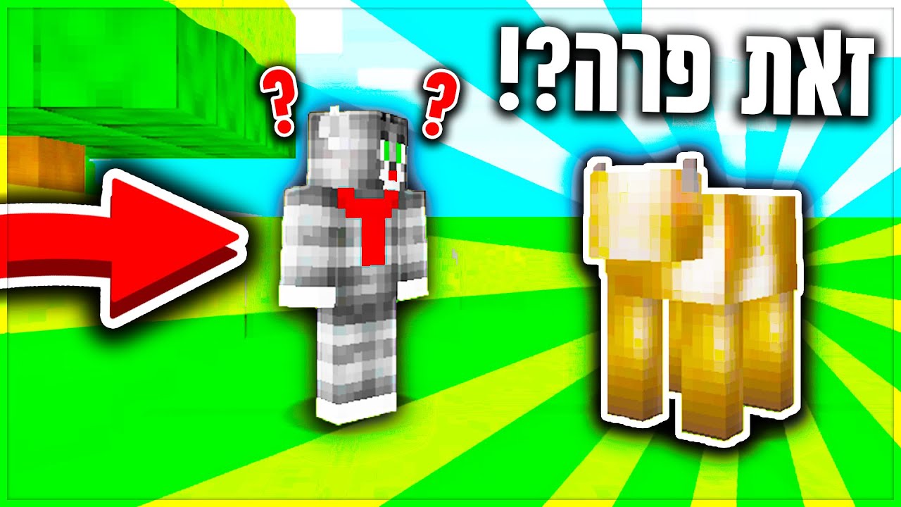 שיחקתי במיינקראפט אבל כל המשחק מטושטש?! *אי אפשר לראות כלום!!*