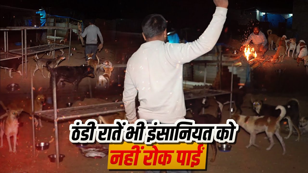 ठंडी रातों में इंसानियत की नहीं रुकी आग 🔥 | Ragnar Animal Shelter | The Banjaara Boy #dogshelter