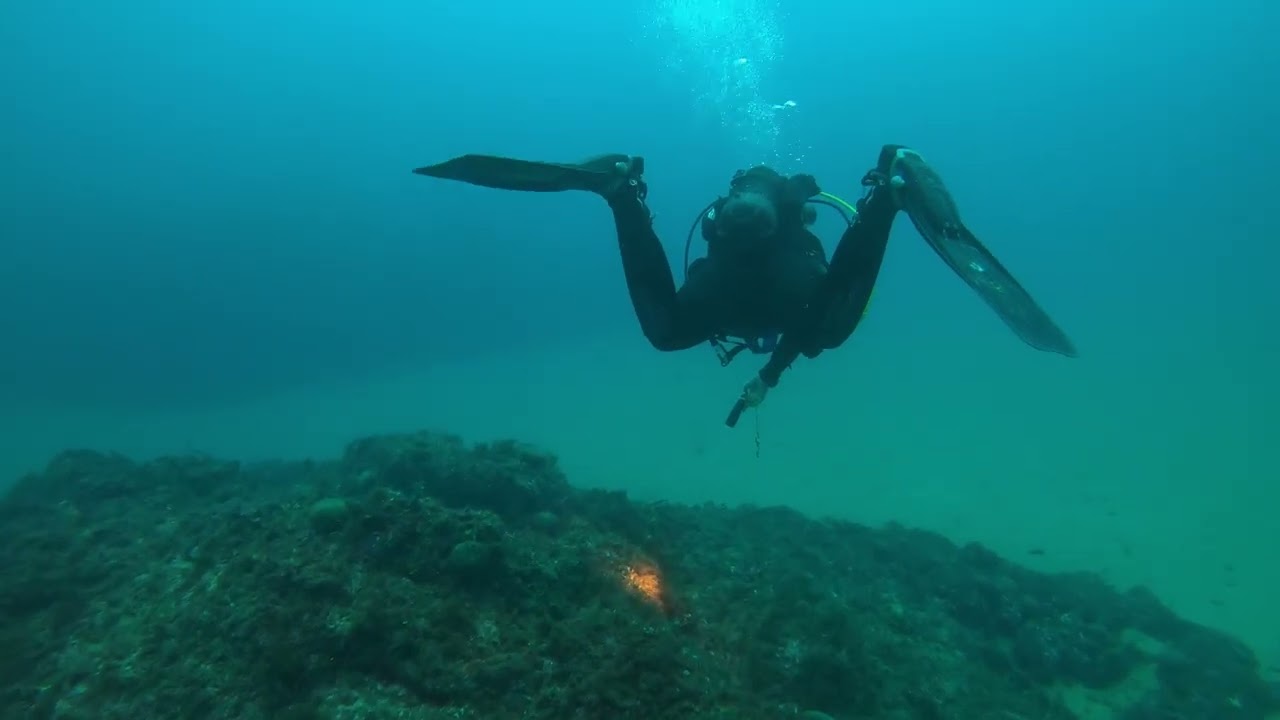 Buceo en la Mar Menuda (Tossa de Mar) | 25/10/2025