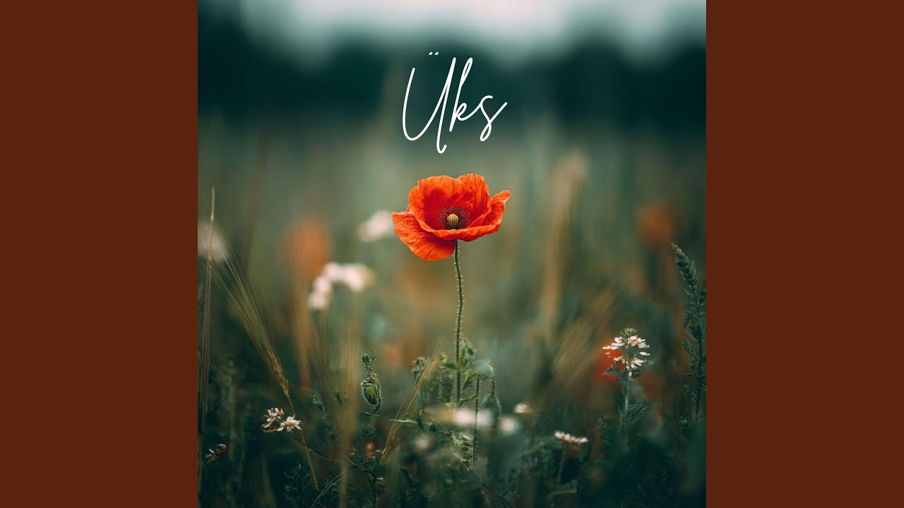 Üks (feat. Koit Toome)
