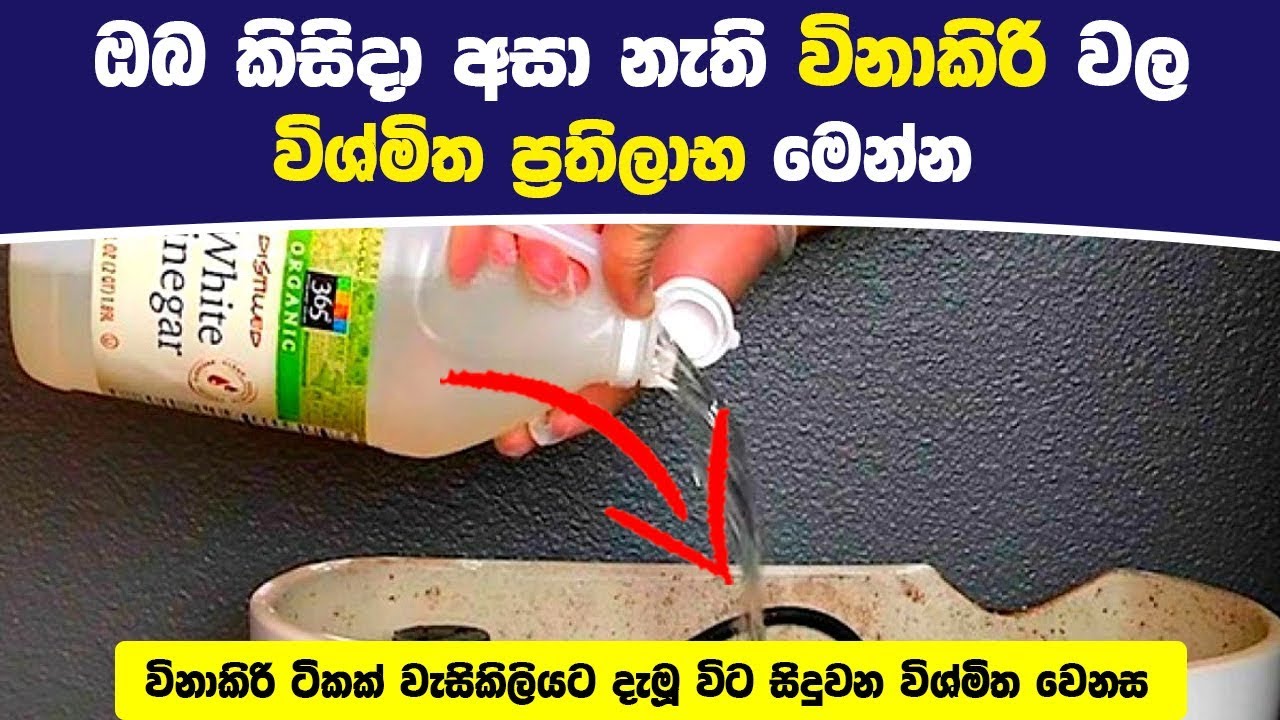 ඔබ කිසිදා අසා නැති විනාකිරි වල විශ්මිත ප්&zwj;රතිලාභ මෙන්න - Super Benefits of Vinegar
