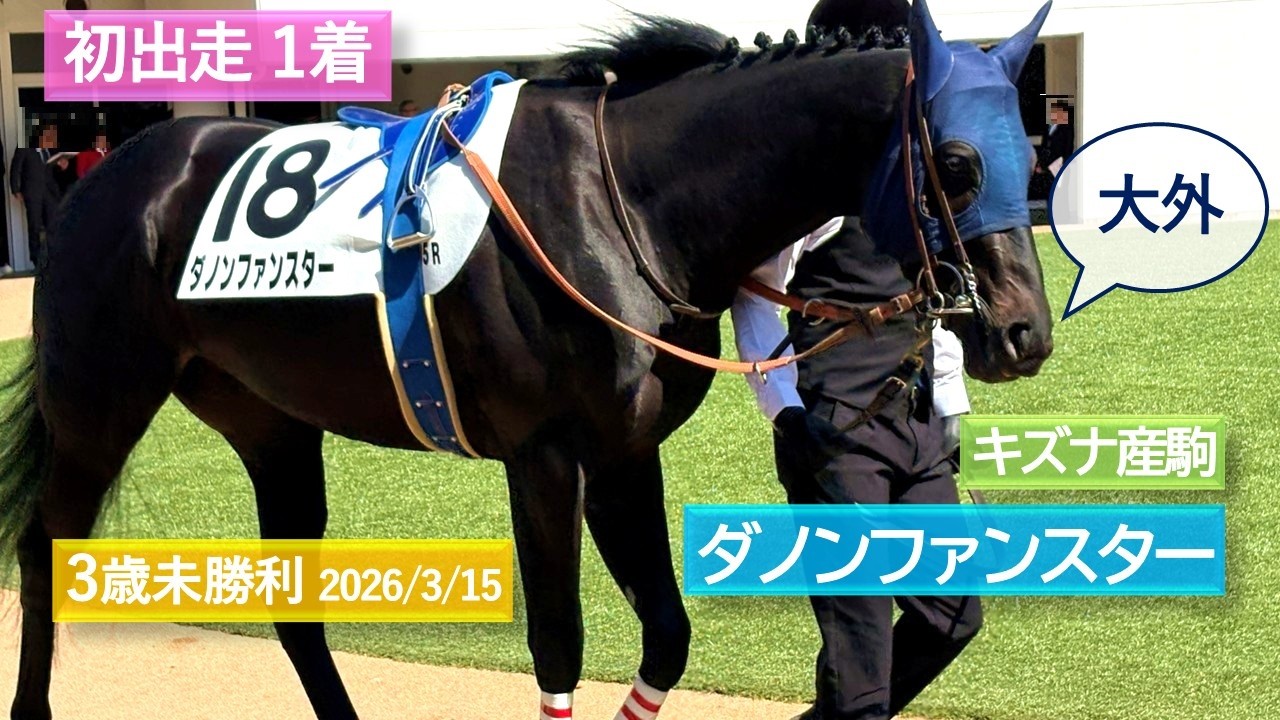 2026年3月15日 | 中山5R 3歳未勝利 | ダノンファンスター | ベアドッキューン | ヴァルカンテソーロ | パドック 現地映像 全頭 | 中山競馬場 | 芝2,000