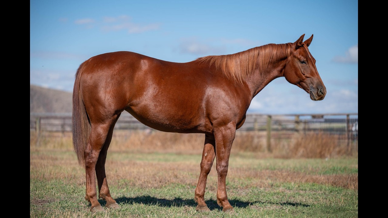 Lot #21 RSR STARLIGHT SECRET