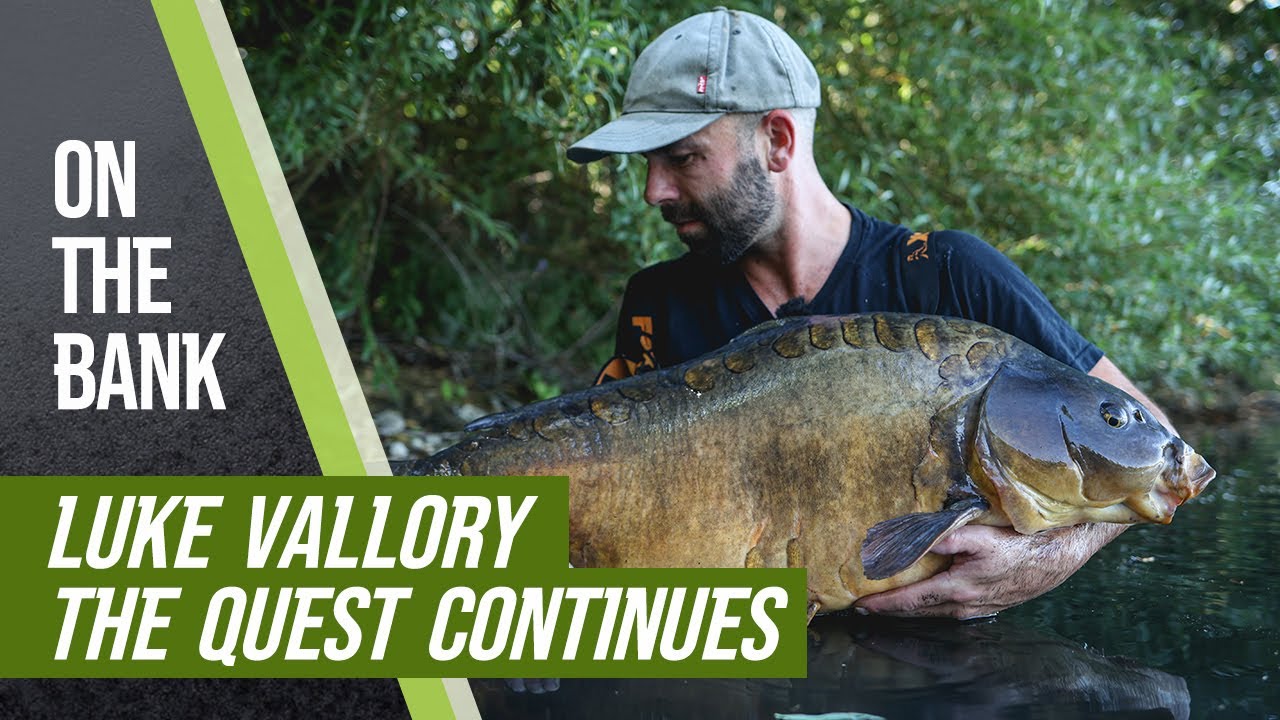 The Quest Continues | Luke Vallory