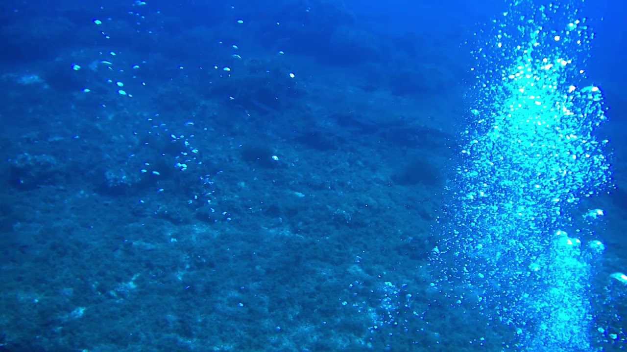 [DIVING] Lampione - 19 Luglio 2019