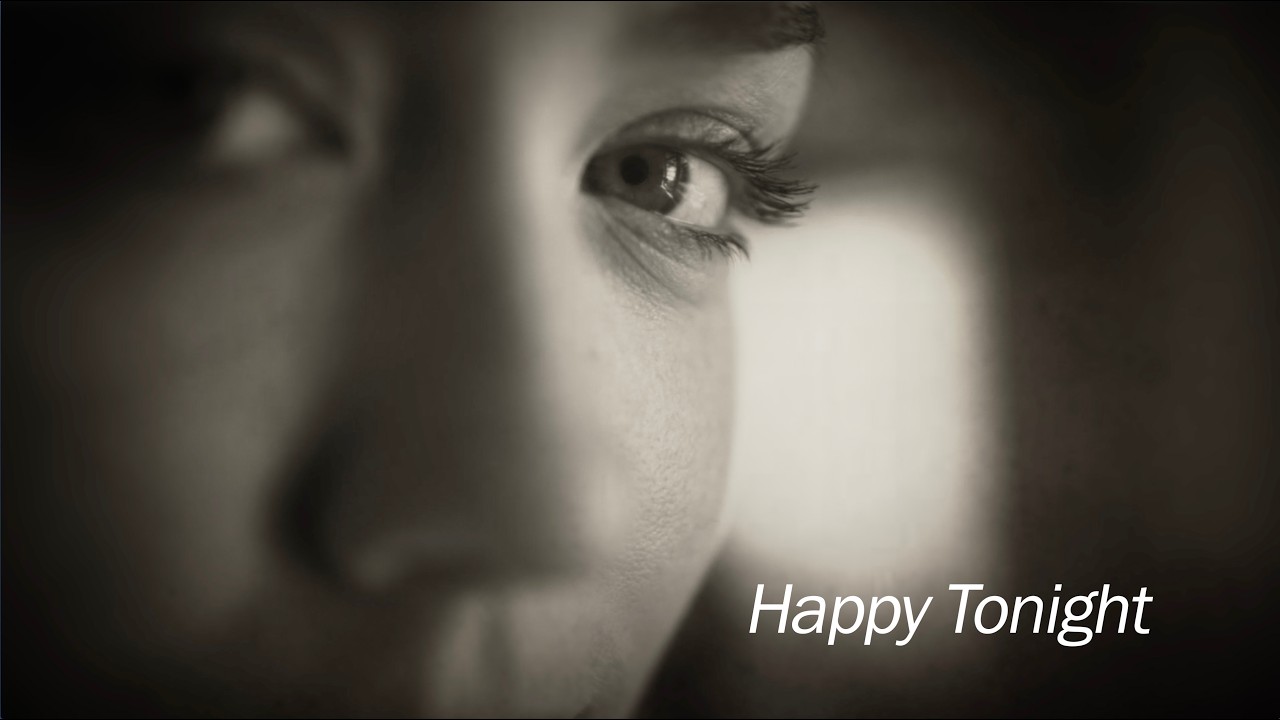 HAPPY TONIGHT - Michael Palmer