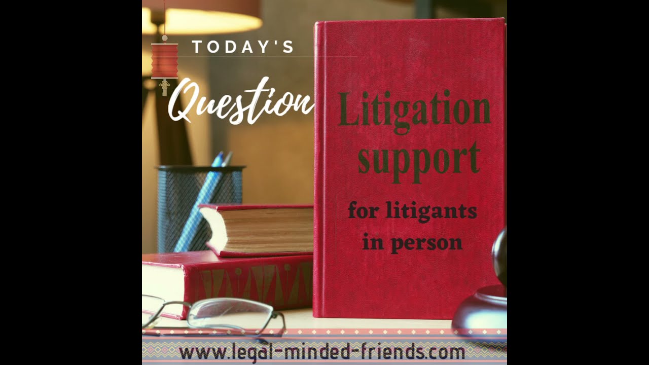 Question: What is a litigant in person?