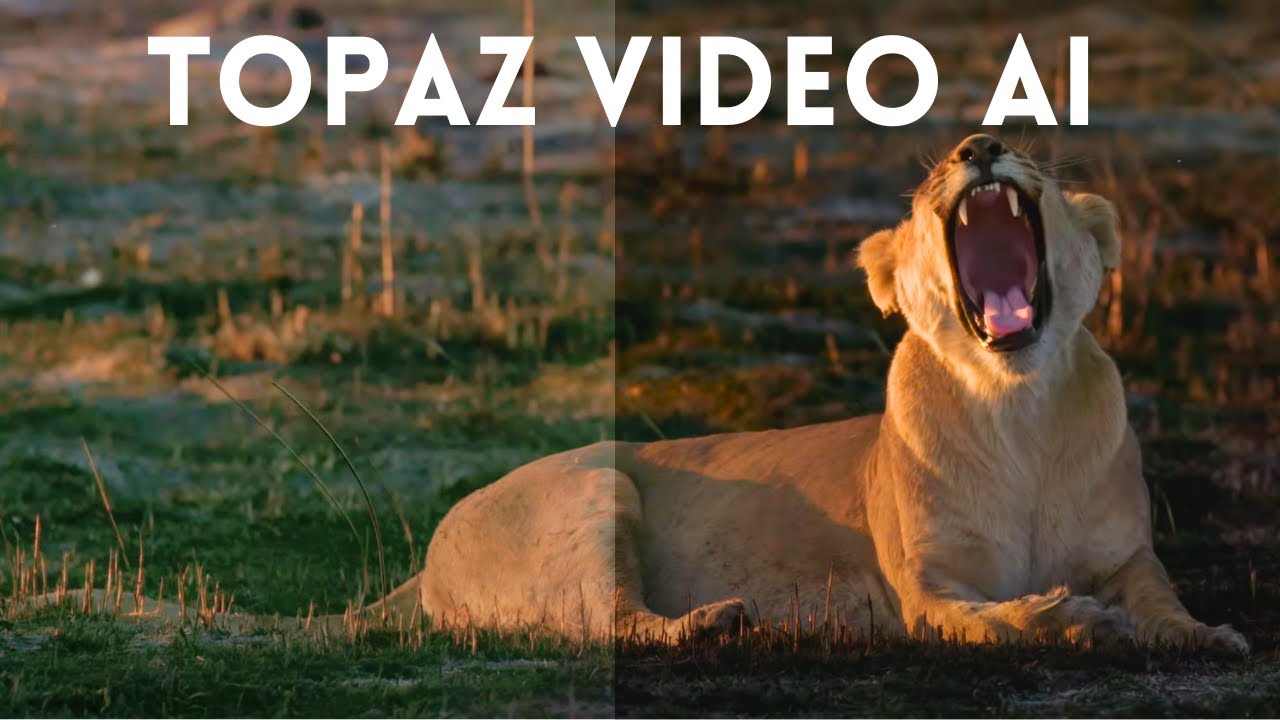Why I&rsquo;m Using Topaz Video AI To Upscale & Denoise Footage