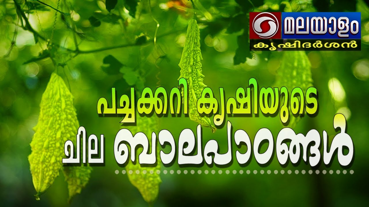 പച്ചക്കറി കൃഷിയുടെ ചില ബാലപാഠങ്ങൾ