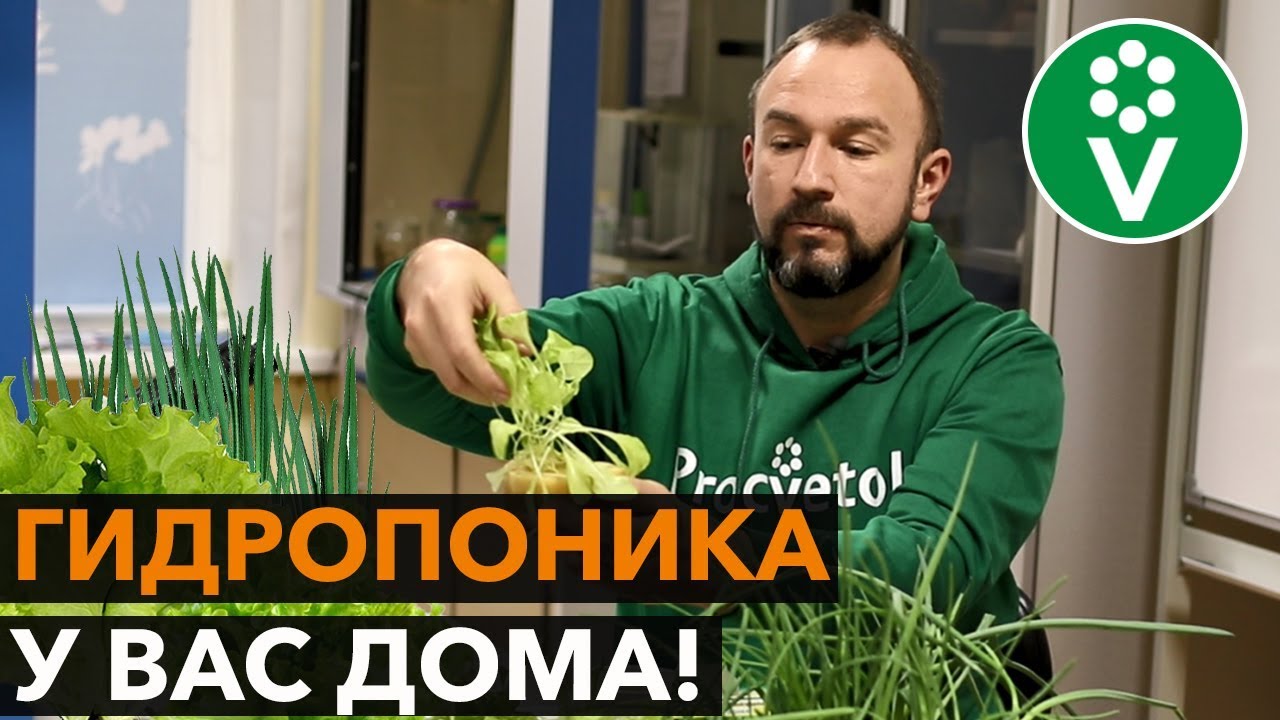 Свежая зелень БЕЗ НИТРАТОВ круглый год! ПРОЩЕ НЕ БЫВАЕТ!
