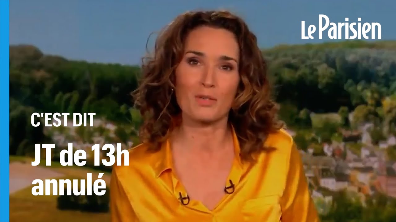 TF1 : le JT de 13 heures paralys&eacute; pendant 40 minutes &agrave; cause d'un &laquo; &eacute;norme probl&egrave;me technique &raquo;