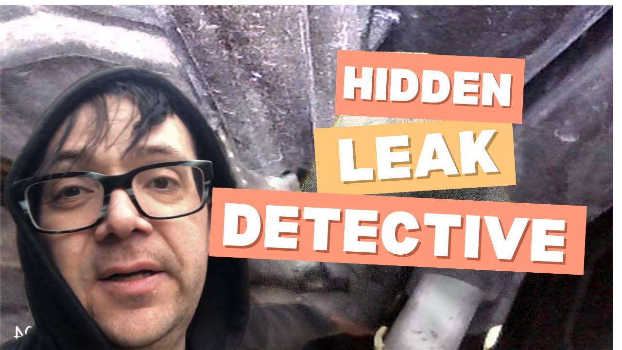 Hunting for a Coolant leak made EZ! BMW X1