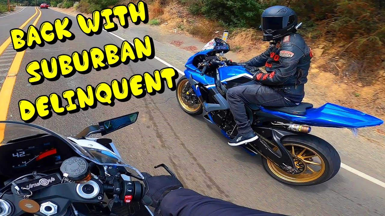 Suburban Delinquent is BACK !