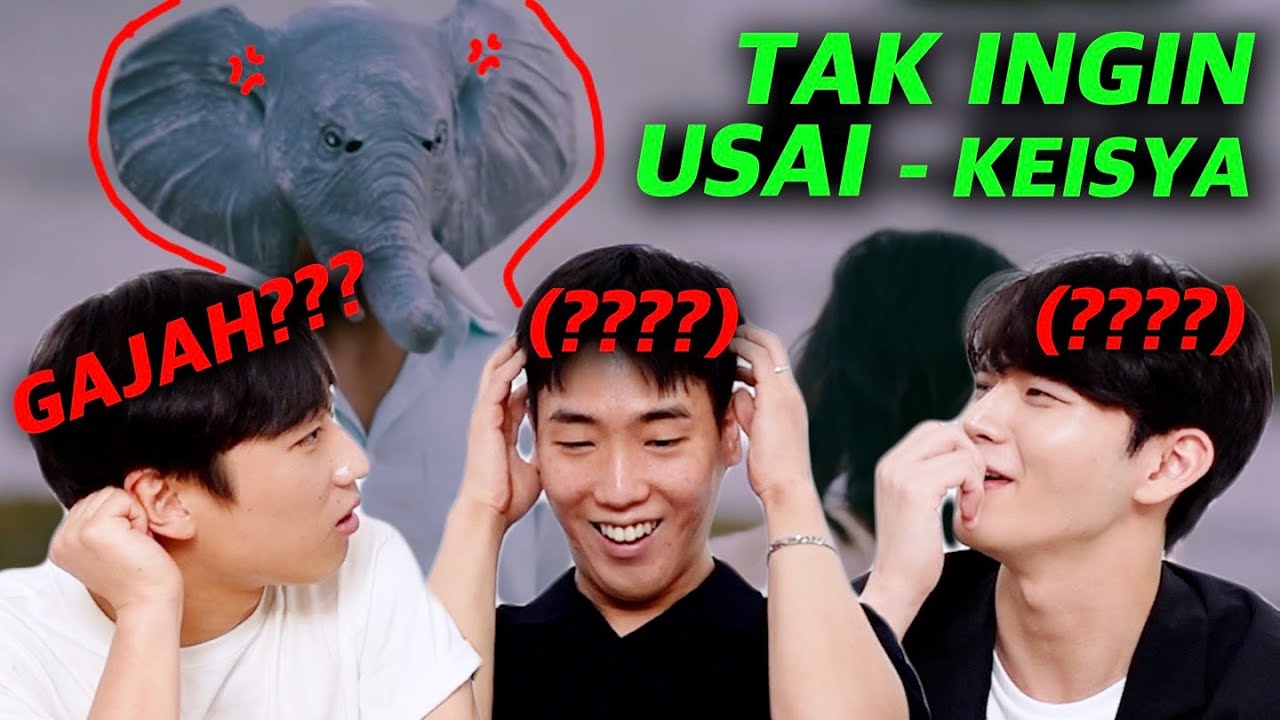 [REAKSI KOREA] TAK INGIN USAI🐘 | MENGAPA PRIA KOERA BINGUNG?🤪