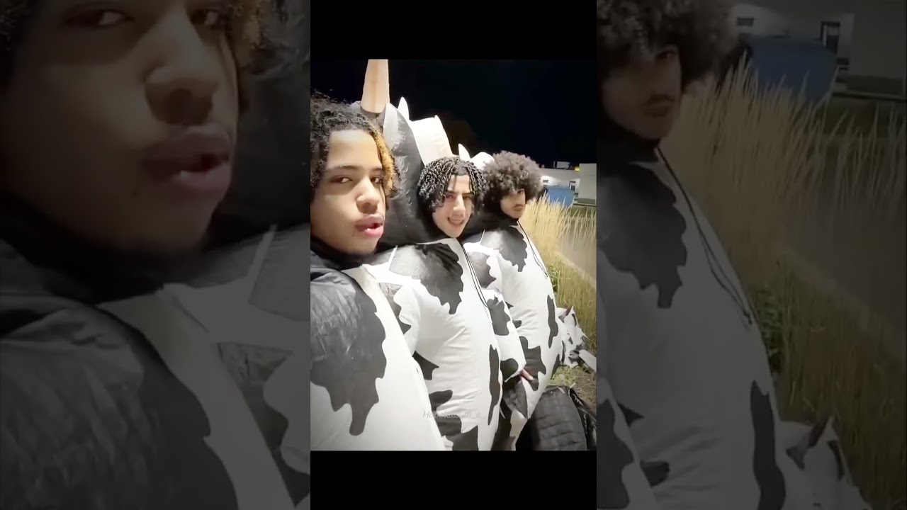 When cows really like to party 🐄🎶