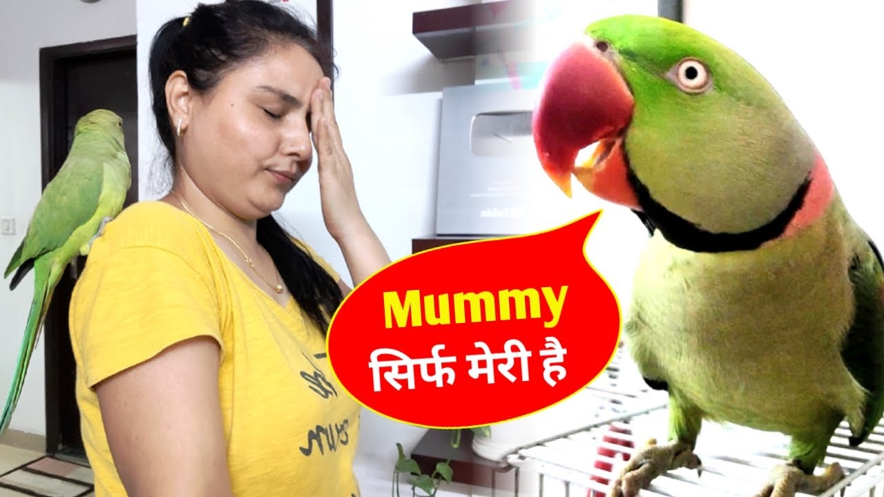 Mummy Ka Beta Sirf Pablo Hi Hai Samjh Le Mitthu 😍