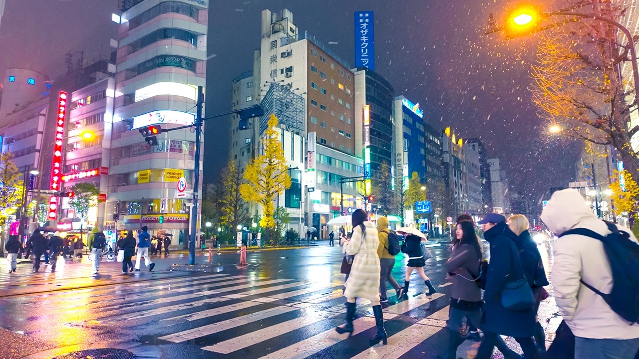 新宿 初雪 正月 2026 New Year's Night Walk in Shinjuku Under the First Snow, Tokyo, Japan (January 2, 2026)