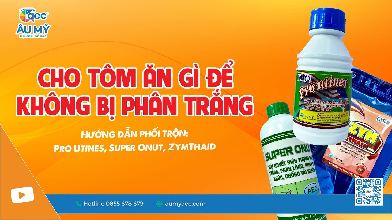 Cho T&ocirc;m ăn g&igrave; để kh&ocirc;ng bị PH&Acirc;N TRẮNG | Thuốc thủy sản Au My AEC