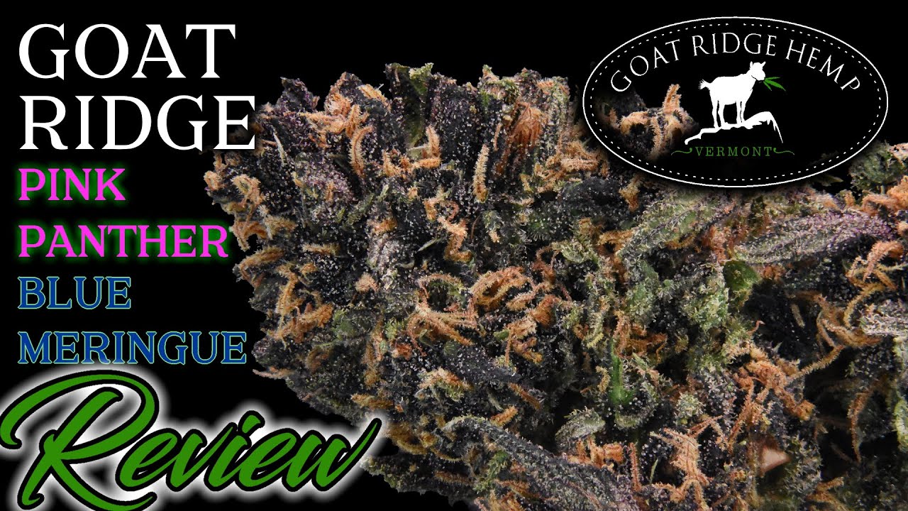 Goat Ridge Hemp Pink Panther & Blue Meringue | CBD Hemp Flower Review