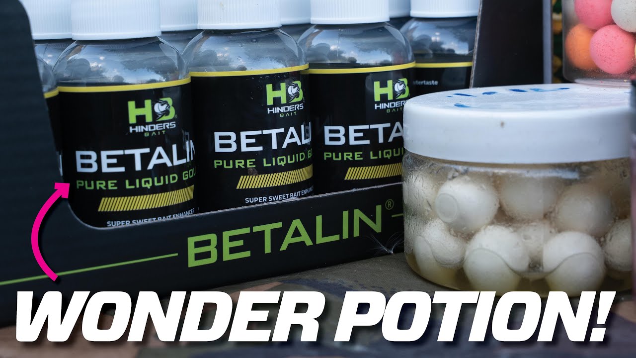 The Secret Carp Bait Potion! | Hinders Betalin
