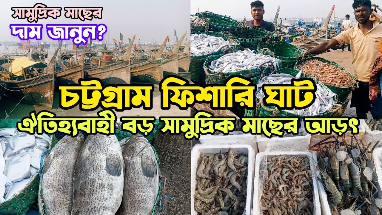 চট্টগ্রাম নতুন ফিশারি ঘাট | সবচেয়ে বড় সামুদ্রিক মাছের পাইকারি বাজার | #chattogramfisheryghat #fish