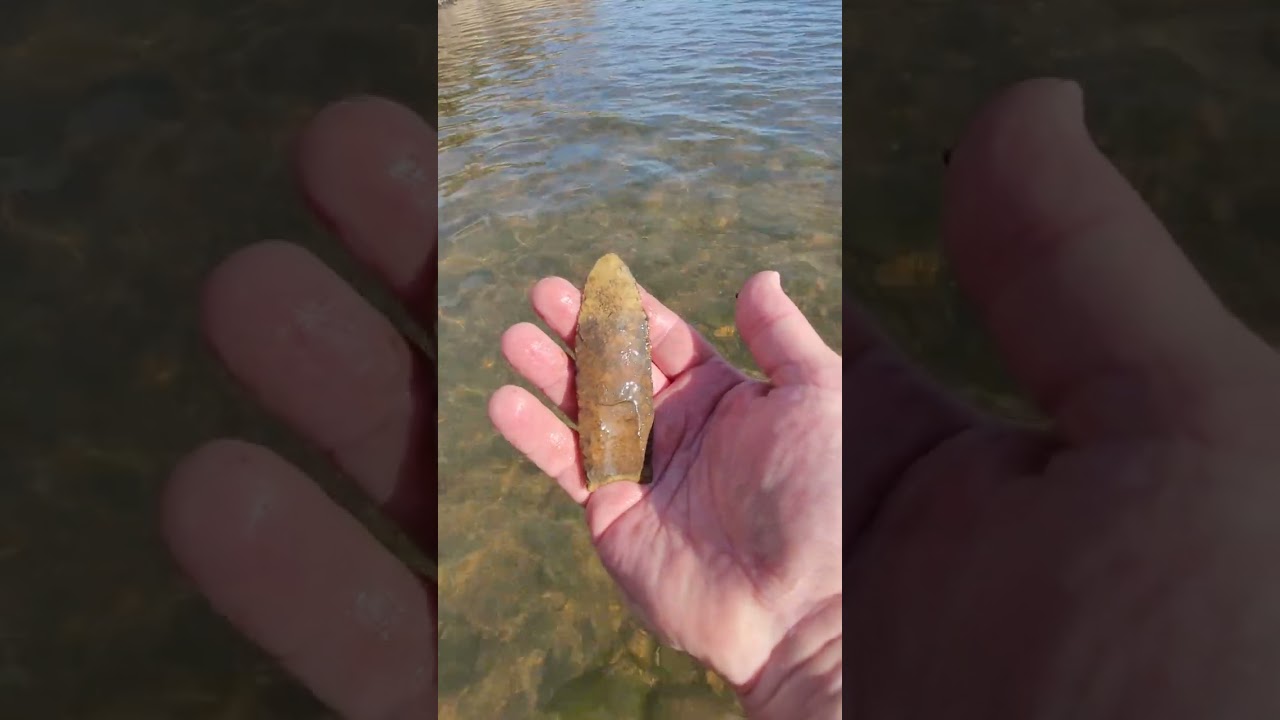 Unbelievable Paleo find