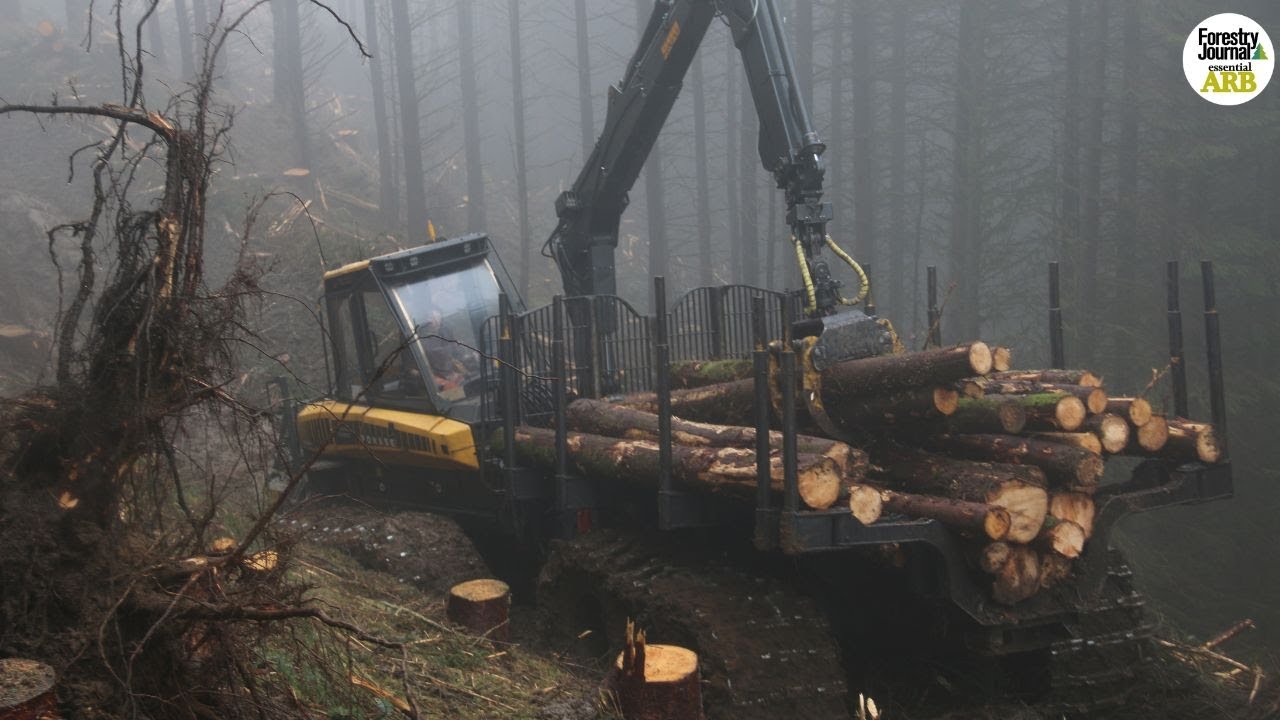 4K - Watch a 20-TONNE Ponsse Elephant King move logs with ease