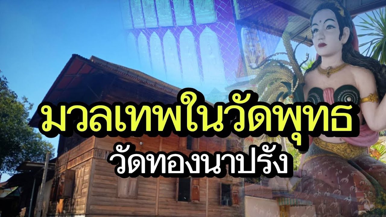 ความเชื่อที่ไม่ได้มีเพียงหนึ่งเดียวที่อยู่ในวัดทองนาปรัง นนทบุรี