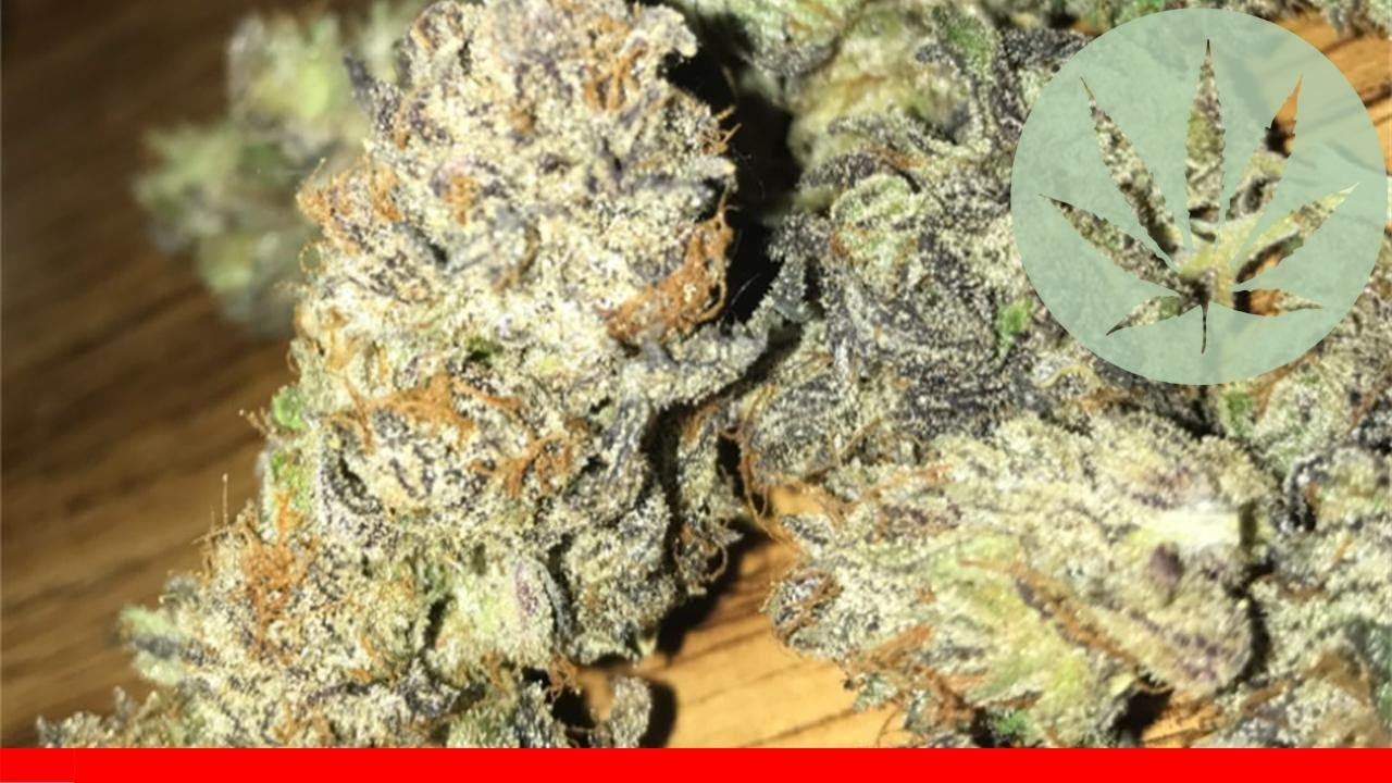 Cherry Og - All About This Strain
