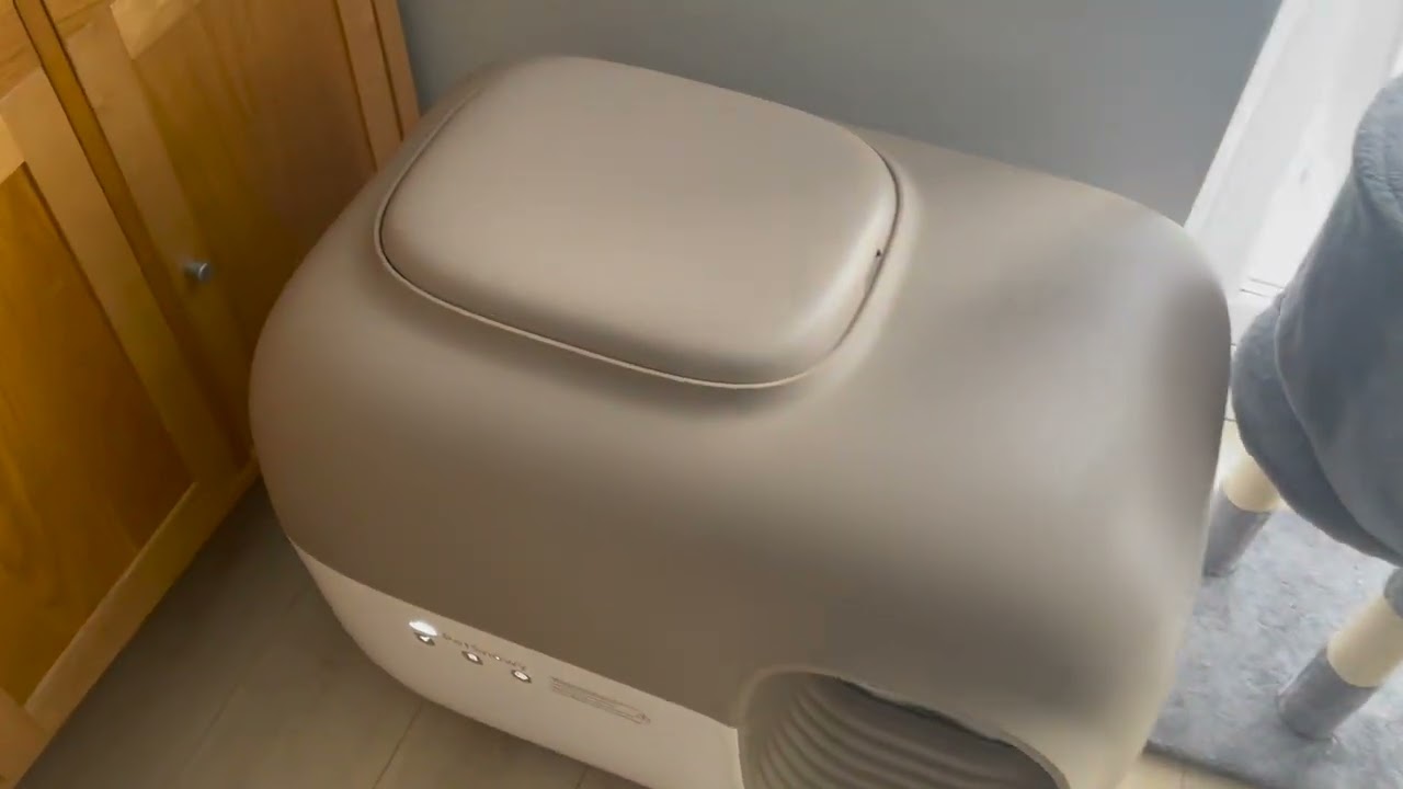 Mi experiencia con Bella y su adaptacion el arenero automatico de Petsnowy 😻#petsnowy #catlitterbox
