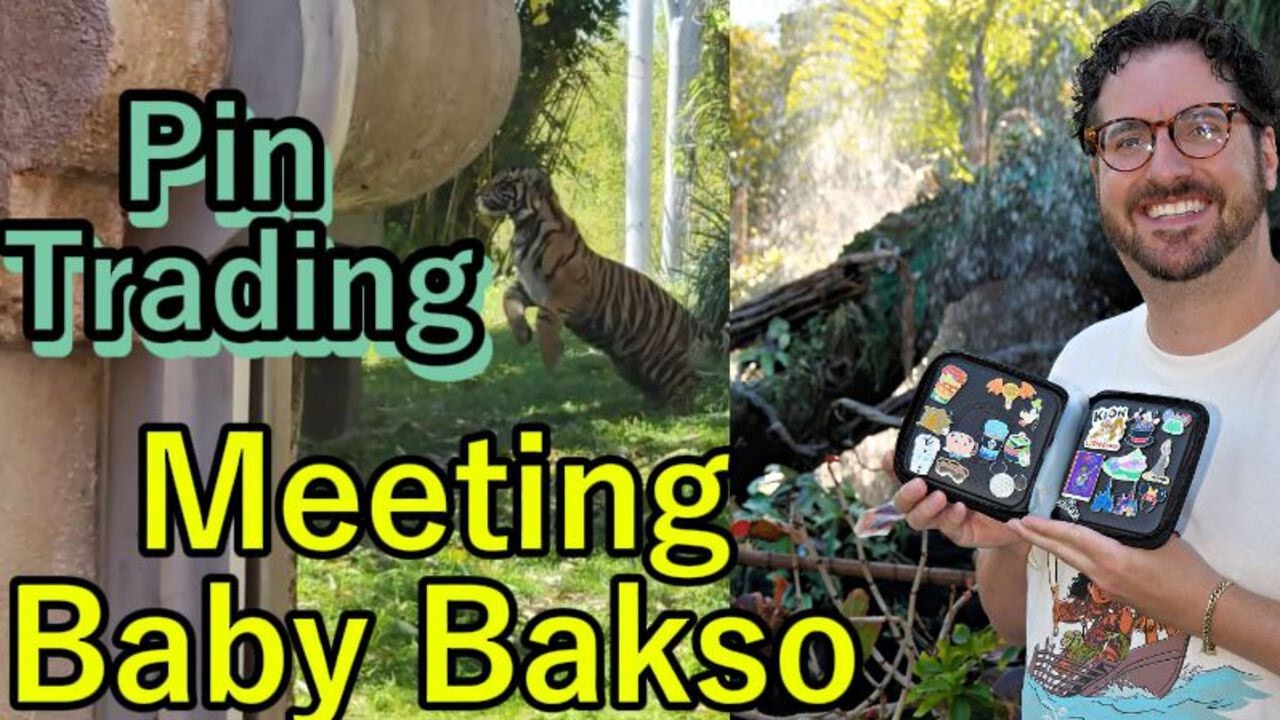 Animal Kingdom Adventure! 🐯 Baby Tiger Bakso, Pin Trading & Harambe Market Review