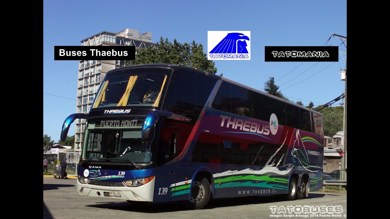 Buses Thaebus