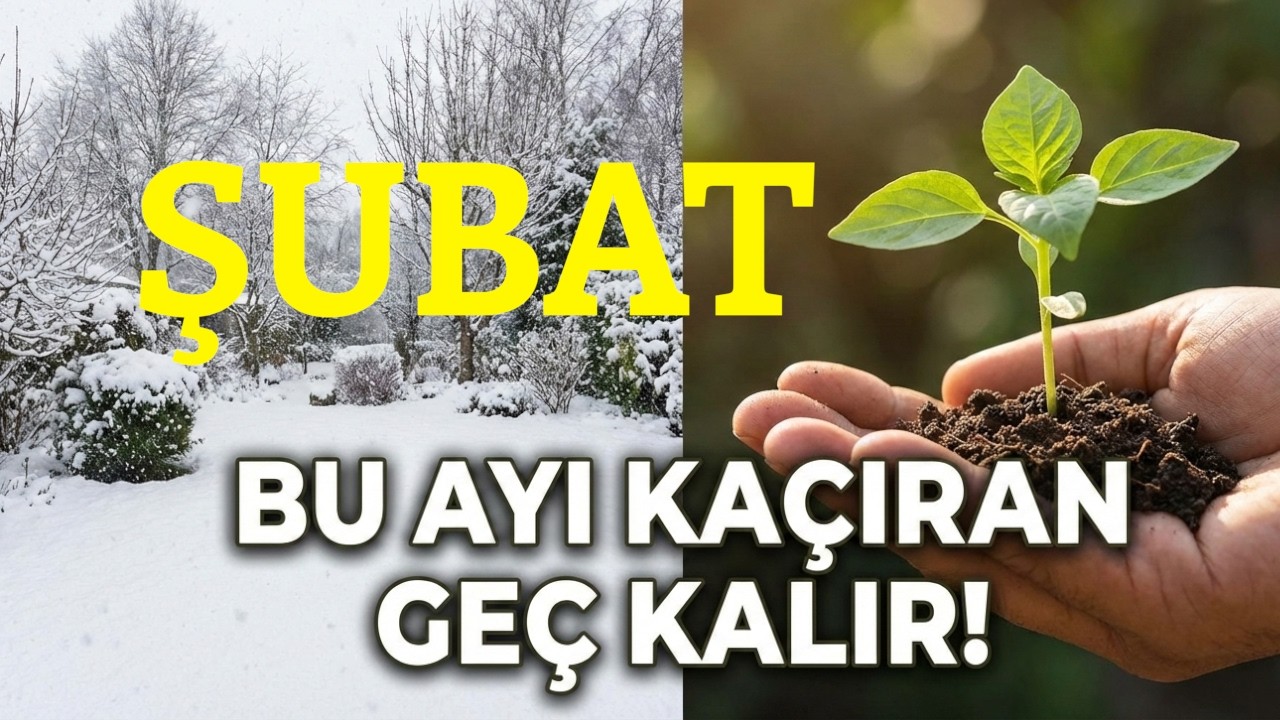 2026 Şubat Ayında Ne Ekilir? 🌱 Ay Takvimine Göre Bereketli Bahçenin Sırrı!