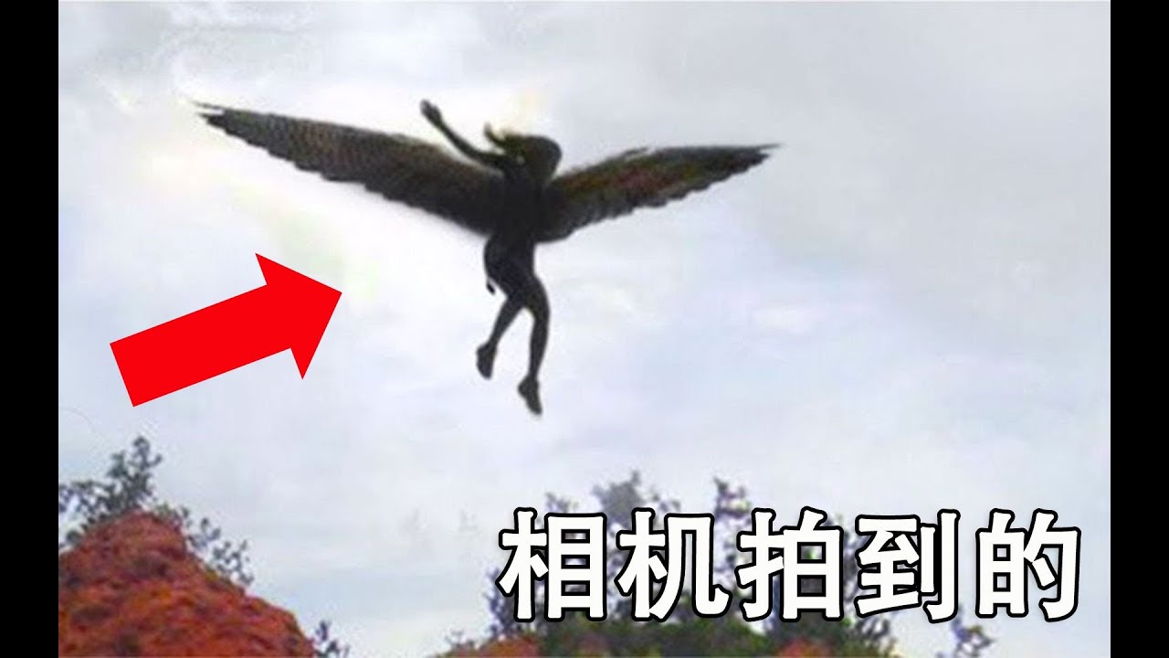 盘点相机拍到的那些不可思议的瞬间