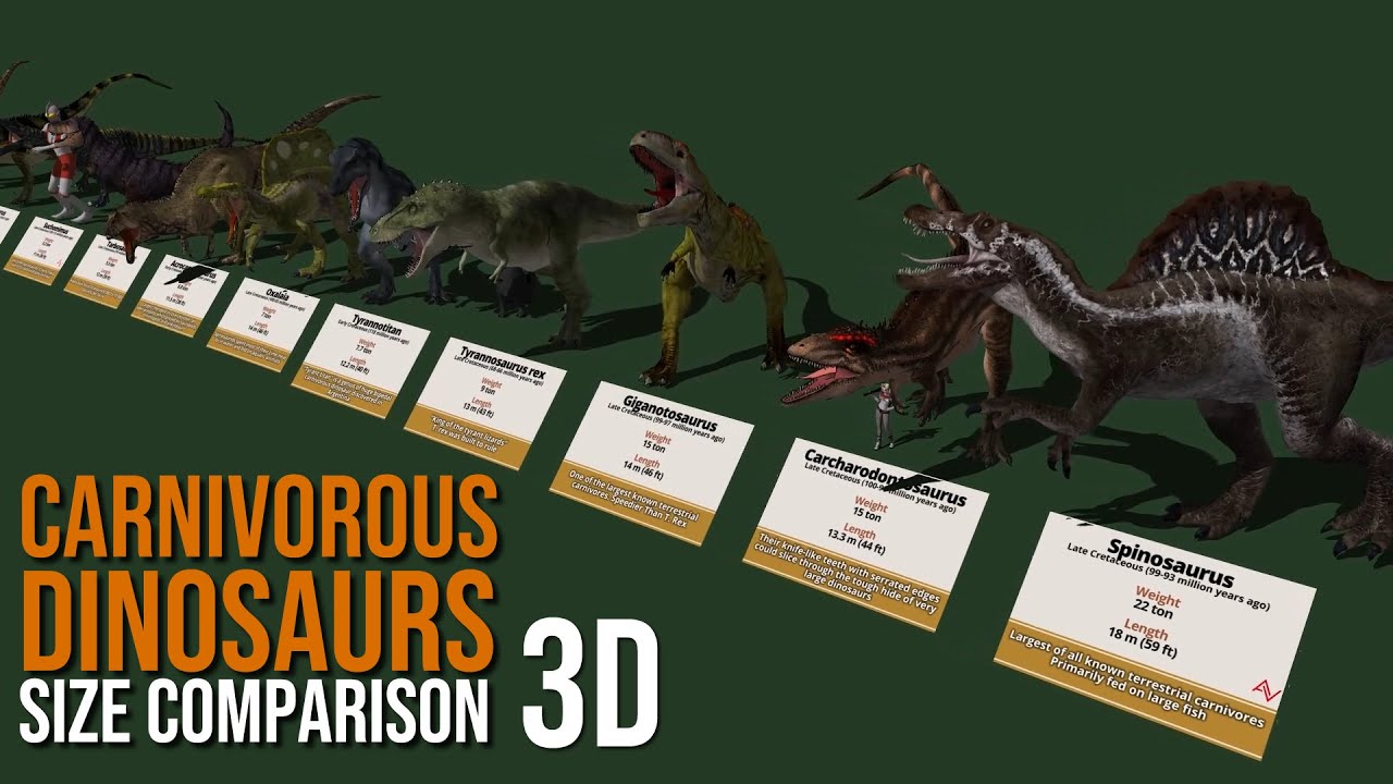 Carnivorous Dinosaur Size Comparison 3D