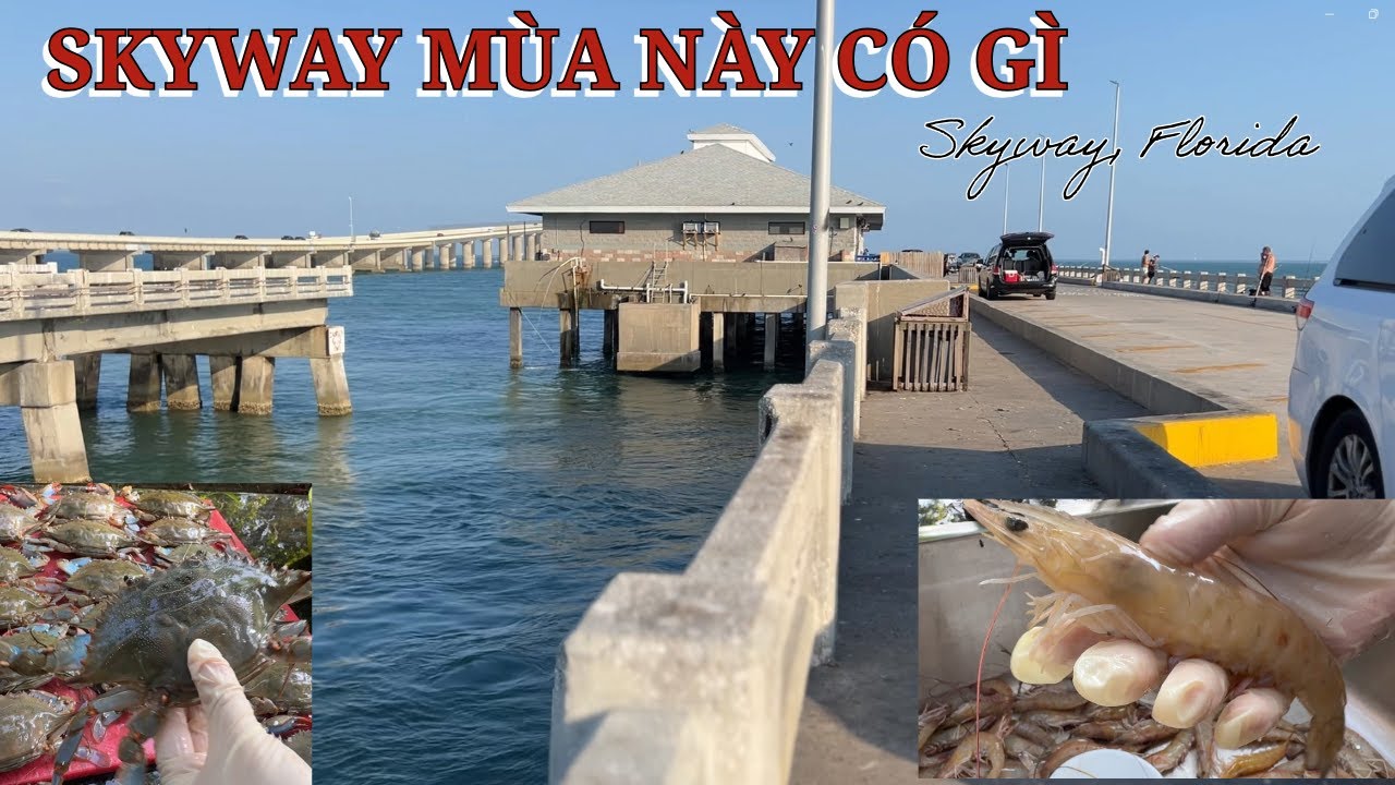 FLORIDA ĐI RA BIỂN VÀI TIẾNG, CÓ TÔM, GHẸ, CÁ ĂN CẢ THÁNG