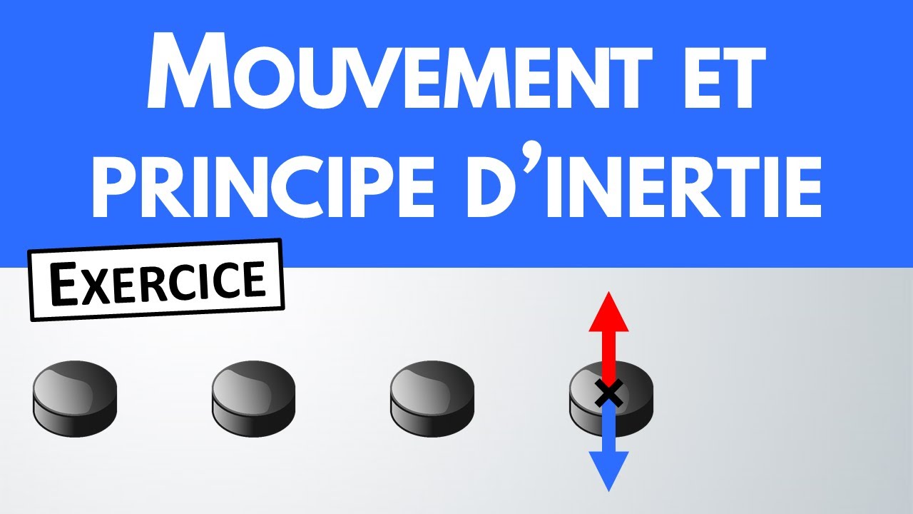 Bilan des forces et principe d'inertie ✏️ Exercice | Physique-Chimie