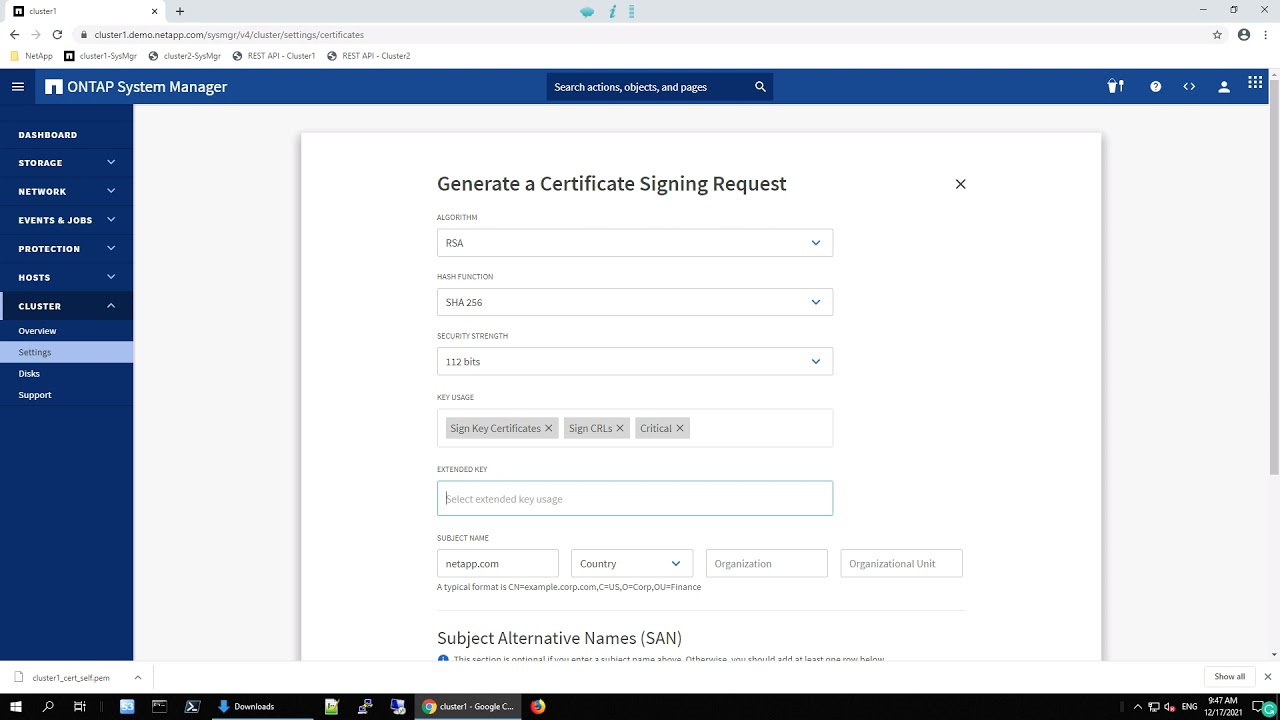 ONTAP 9.10.1 - CA - Case 1 - Generate a Certificate signing Request