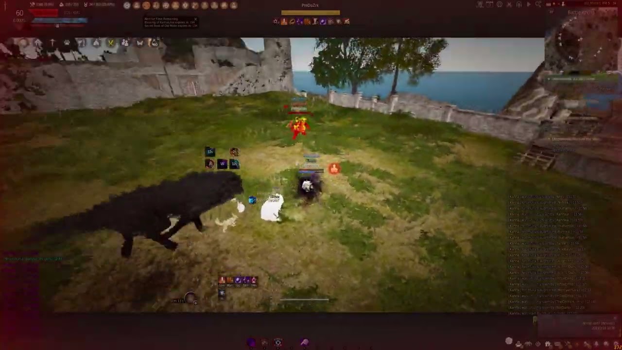 bdo succession tamer vs awakening zerker