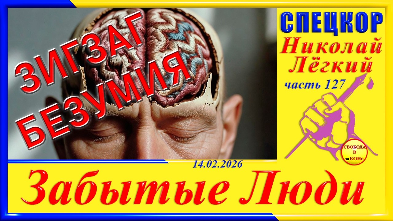 ЗИГЗАГ БЕЗУМИЯ- ч.127 СПЕЦКОР Николай Легкий цикла 
