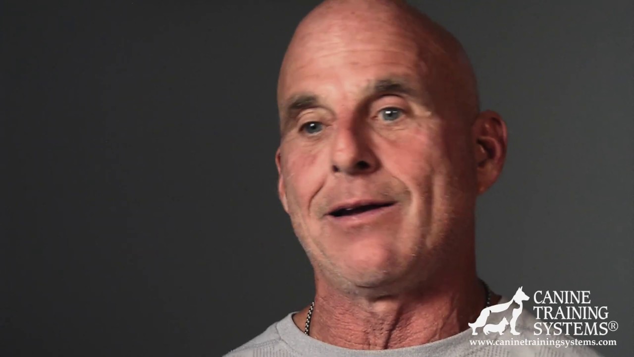 Training the Police and Military Working Dog Helper with Franco Angelini - Part 2 - The Sleeve