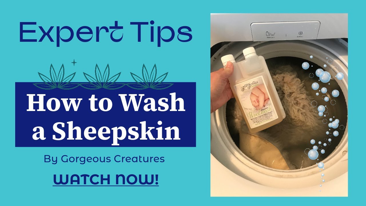 Expert Tips - How to Wash a Sheepskin Rug at Home by Gorgeous Creatures (2024)