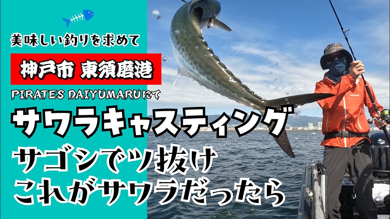 サワラキャスティング サゴシでツ抜けこれがサワラだったら 2025 10 10 黒船 PIRATES DAIYUMARUにて #釣り #海釣り #サワラキャスティング #サワラ #fishing