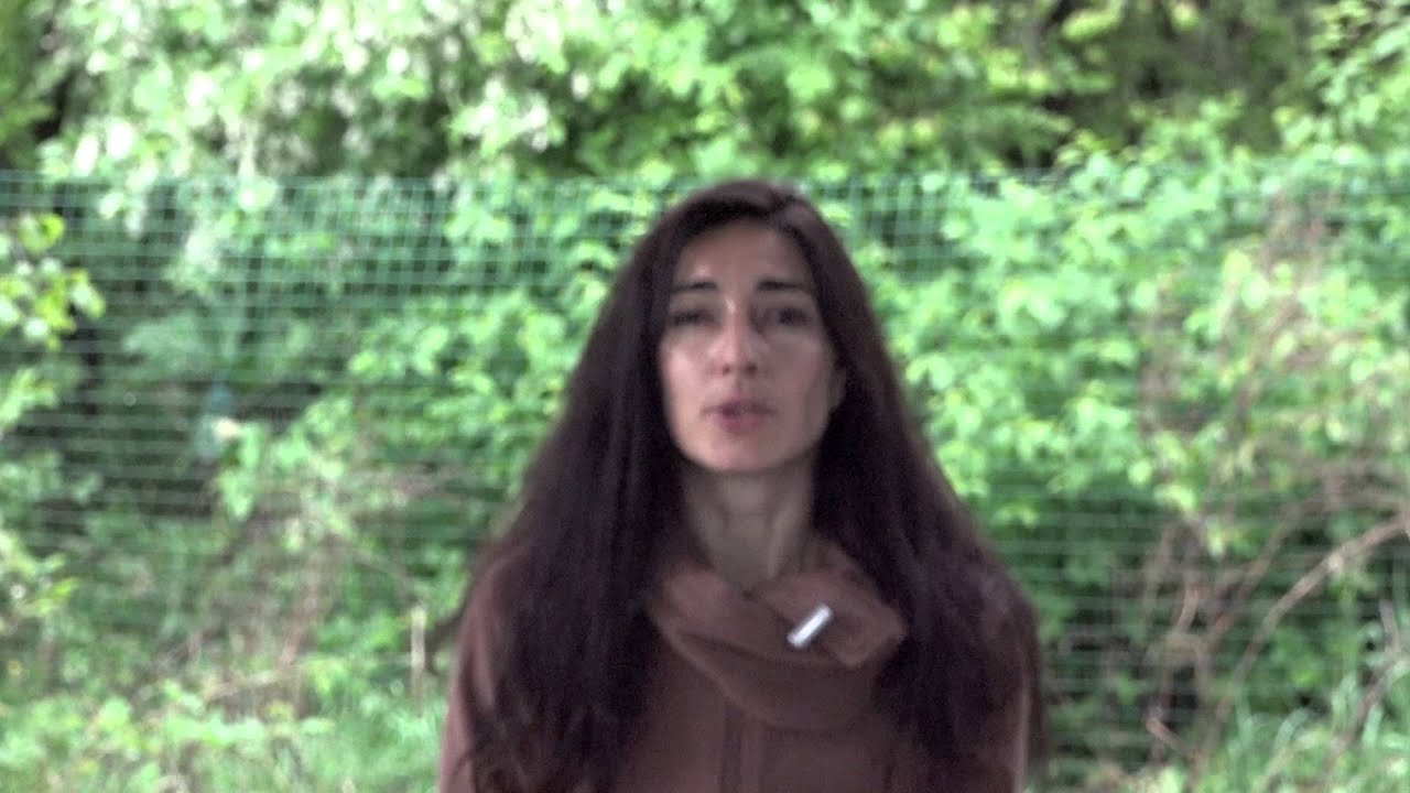 Пугливая на прогулке лошадь