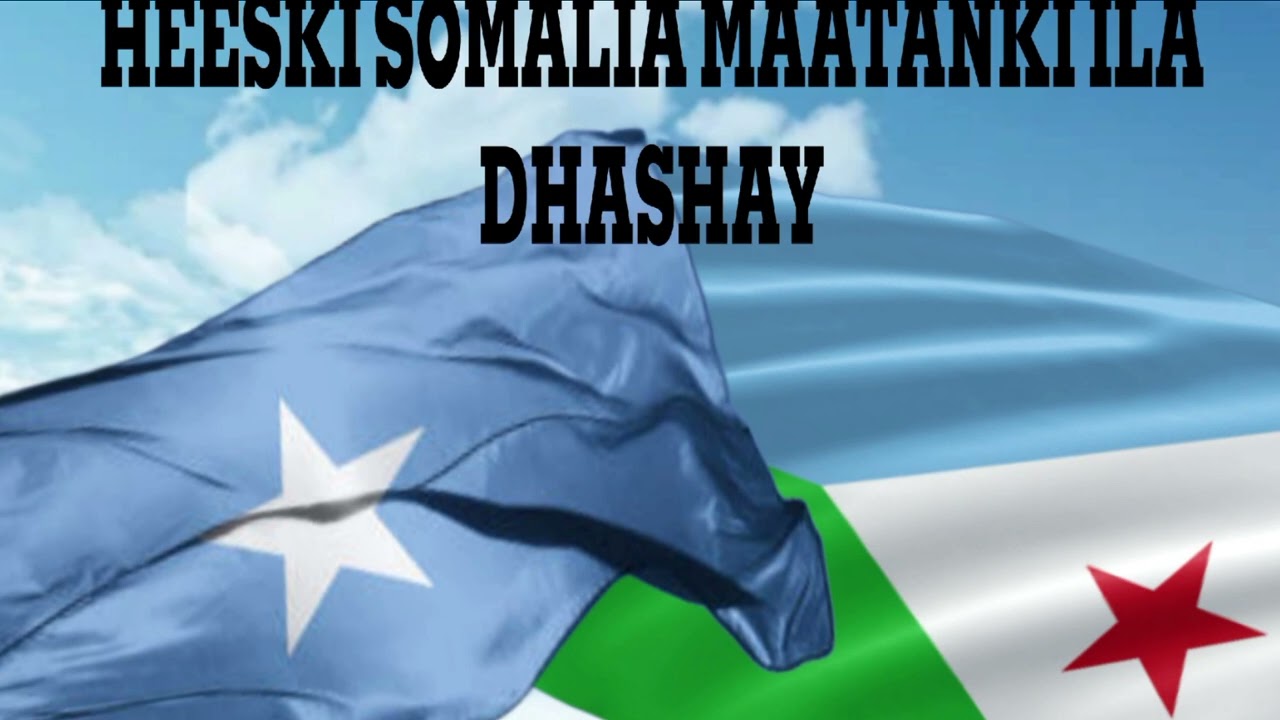 hees cusub 2025 | Somaliya Matanki ila DHASHAY | by Radwan rayo iyo Nagad Aramis official 2025
