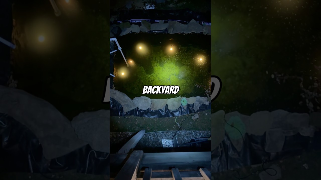 Building BIG BASS BACKYARD POND PART 2 (from scratch) #shorts