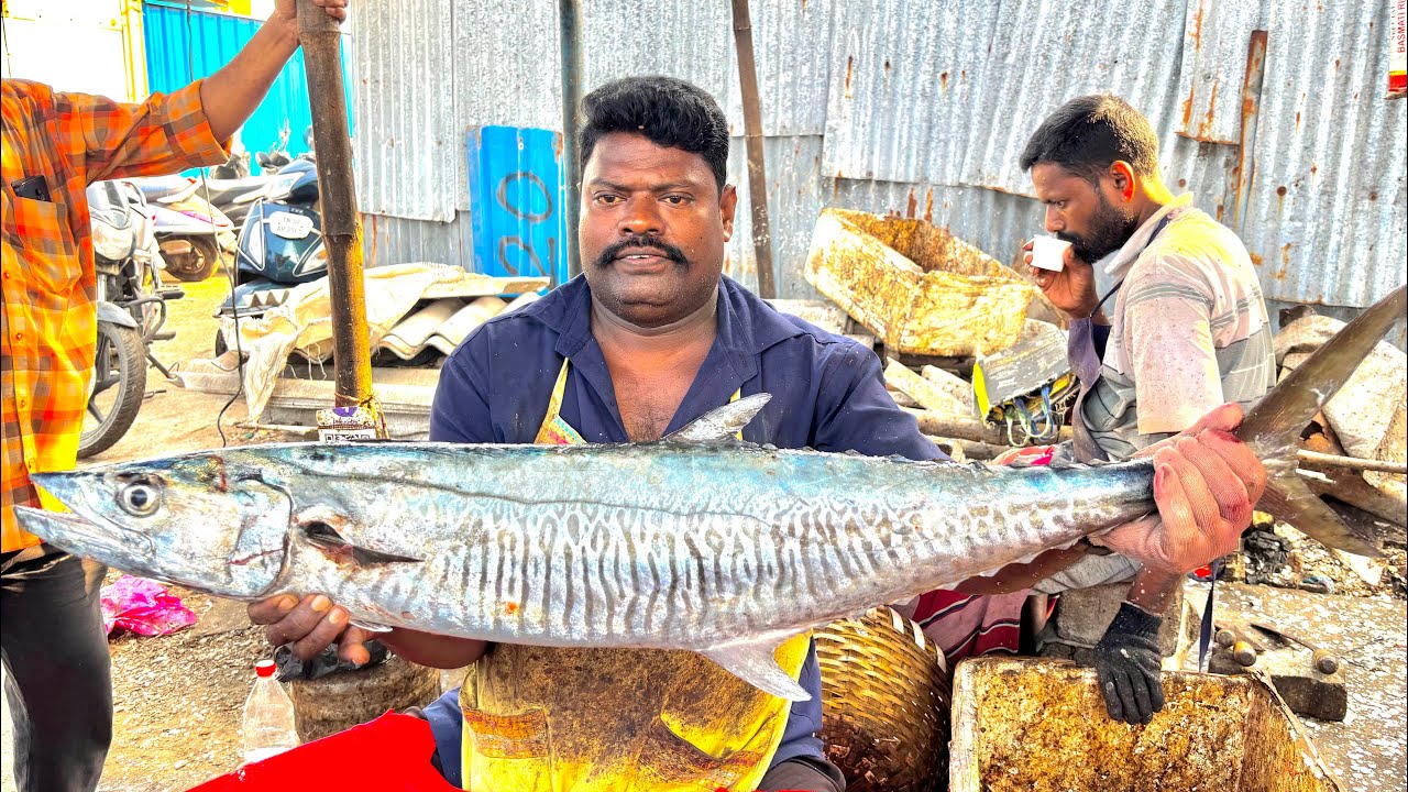 Видео разделки крупной королевской рыбы Касимеду Спидселвам #kasimeduselvam #fishcutting