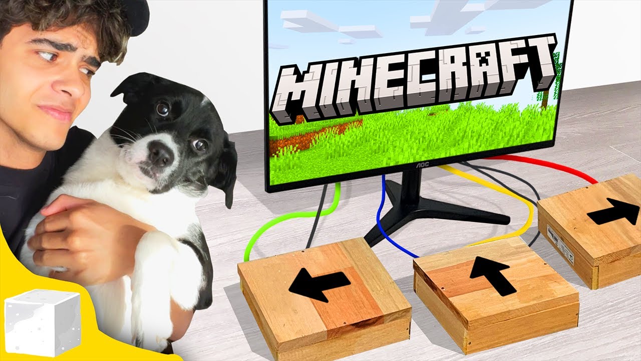 Eu Criei um COMPUTADOR para ANIMAIS Jogar Minecraft!