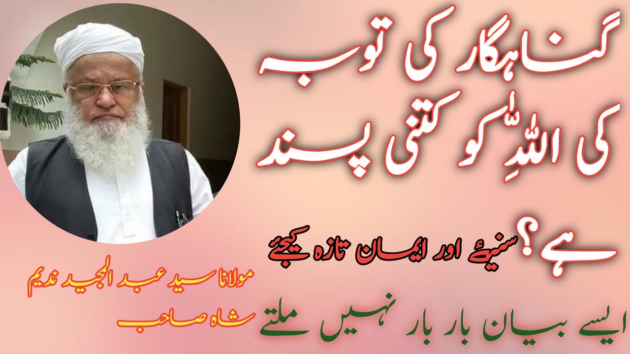 گناہگار کی توبہ اللہ کو کتنی پسند ہے|مولانا سید عبد المجید ندیم شاہ صاحب||Afnan studio