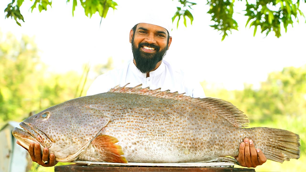25 Kgs Hamour Fish Grilled On Charcoal | Giant Fish Cooking Eating | Giant Fish Fry | Nawab's #10